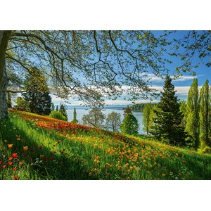 Schmidt Spiele (58967) - "Frühlingsallee zur Tulpenblüte, Insel Mainau" - 1000 Teile Puzzle