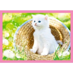 Trefl (34330) - "Kittens" - 35 48 54 70 Teile Puzzle