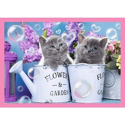 Trefl (34330) - "Kittens" - 35 48 54 70 Teile Puzzle