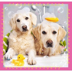 Trefl (34845) - "Dogs" - 20 36 50 Teile Puzzle