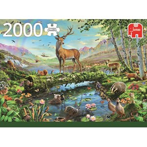 Jumbo (18357) - "Wildlife Splendour" - 2000 Teile Puzzle