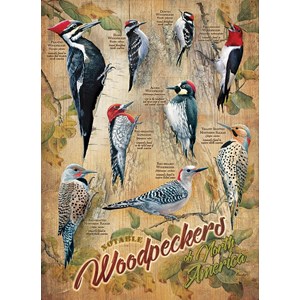 Cobble Hill (85007) - Susan Bourdet: "Notable Woodpeckers" - 500 Teile Puzzle
