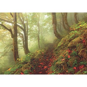 Heye (29519) - "Magischer Waldpfad" - 1000 Teile Puzzle