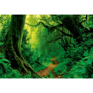 Educa (17098) - "Verzauberter Wald" - 1000 Teile Puzzle