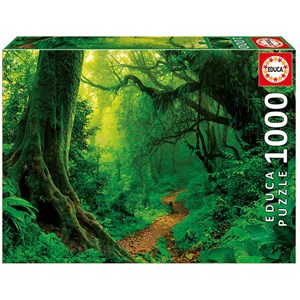 Educa (17098) - "Verzauberter Wald" - 1000 Teile Puzzle