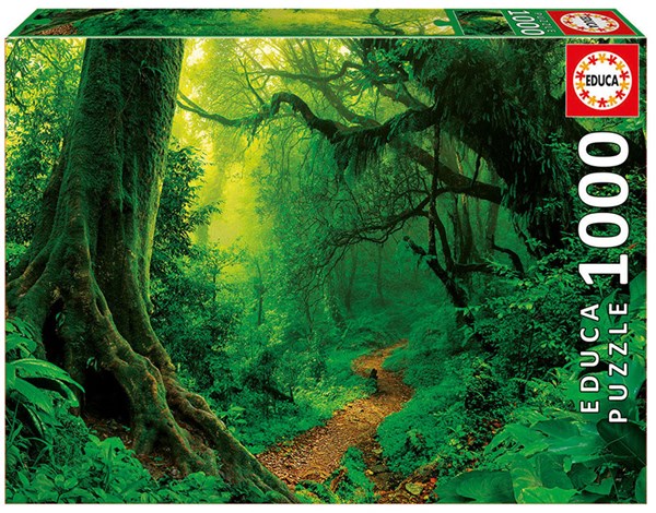 Educa (17098) - "Verzauberter Wald" - 1000 Teile Puzzle