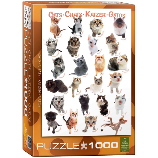 Eurographics (6000-1511) - "Klassische Katzenrassen" - 1000 Teile Puzzle