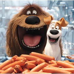 Ravensburger (09413) - "Pets - Spaß allein zu Hause" - 49 Teile Puzzle