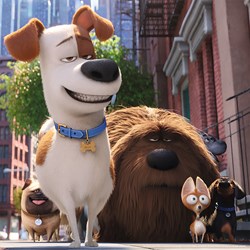 Ravensburger (09413) - "Pets - Spaß allein zu Hause" - 49 Teile Puzzle