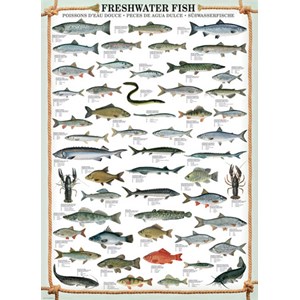 Eurographics (6000-0312) - "Süßwasserfische" - 1000 Teile Puzzle