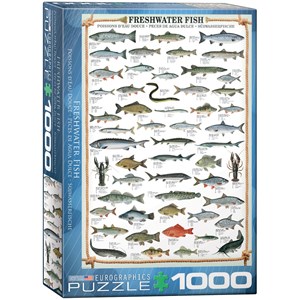 Eurographics (6000-0312) - "Süßwasserfische" - 1000 Teile Puzzle