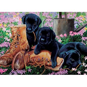 Cobble Hill (58851) - "Schwarze Labradorwelpen" - 35 Teile Puzzle