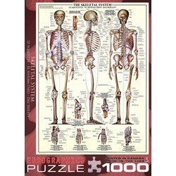Eurographics (6000-3970) - "Das Skelettsystem" - 1000 Teile Puzzle