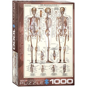 Eurographics (6000-3970) - "Das Skelettsystem" - 1000 Teile Puzzle