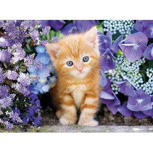 Clementoni (30415) - "Katze im Blumenmeer" - 500 Teile Puzzle