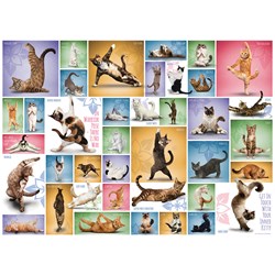 Eurographics (6000-0953) - "Yoga Katzen" - 1000 Teile Puzzle