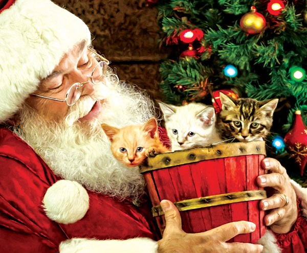 SunsOut (39421) - Larry Hersberger: "A Barrel of Fun" - 1000 Teile Puzzle