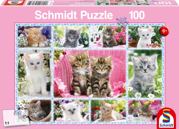 Schmidt Spiele (56135) - "Katzenbabys" - 100 Teile Puzzle
