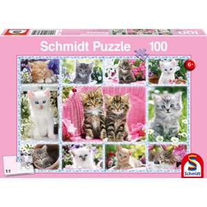 Schmidt Spiele (56135) - "Katzenbabys" - 100 Teile Puzzle