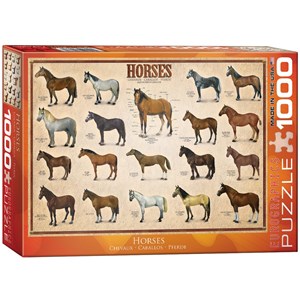Eurographics (6000-0078) - "Pferde" - 1000 Teile Puzzle