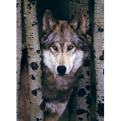 Eurographics (6000-1244) - "Grauer Wolf" - 1000 Teile Puzzle