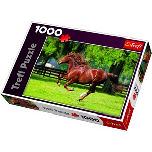 Trefl (10201) - "In The Gallop" - 1000 Teile Puzzle