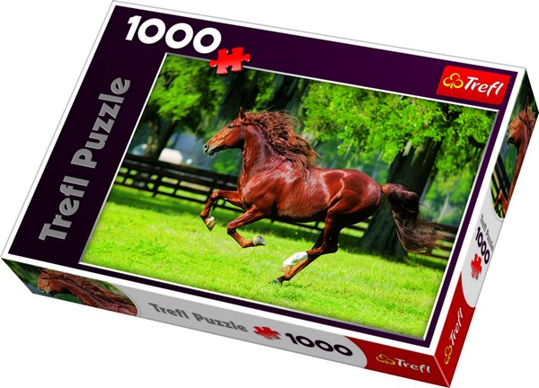Trefl (10201) - "In The Gallop" - 1000 Teile Puzzle