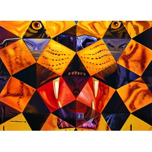 Eurographics (6000-0843) - Salvador Dali: "50 abstrakte Bilder" - 1000 Teile Puzzle