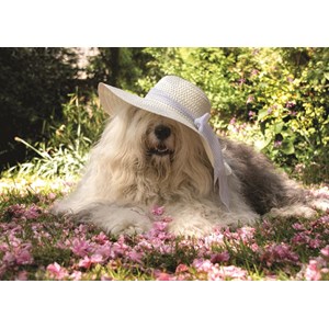 Jumbo (18530) - "Sophie in einem Blumenbeet" - 500 Teile Puzzle