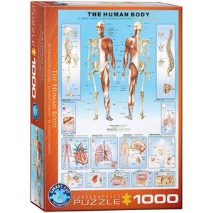 Eurographics (6000-1000) - "Der menschliche Körper" - 1000 Teile Puzzle