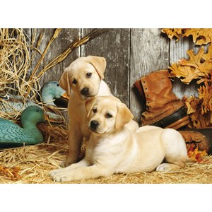 Clementoni (31976) - "Schmusende Hunde" - 1500 Teile Puzzle