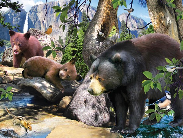 SunsOut (59305) - "Schwarzbären" - 300 Teile Puzzle