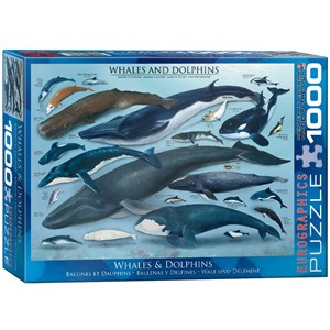 Eurographics (6000-0082) - "Delfine und Wale" - 1000 Teile Puzzle