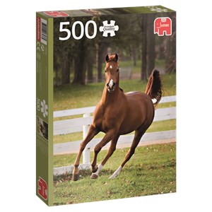 Jumbo (18538) - "Pferd" - 500 Teile Puzzle