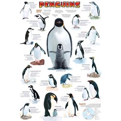 Eurographics (6100-0044) - "Pinguine" - 100 Teile Puzzle