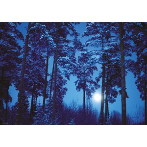 Heye (29625) - "Full Moon" - 500 Teile Puzzle