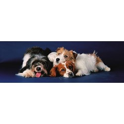Eurographics (6005-4491) - "Hunde" - 750 Teile Puzzle