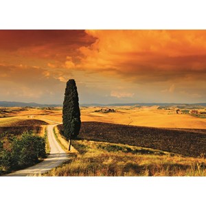 Jumbo (18362) - "Sonnenuntergang in der Toskana" - 1000 Teile Puzzle