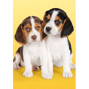 Clementoni (30356) - "Nice Beagles" - 500 Teile Puzzle