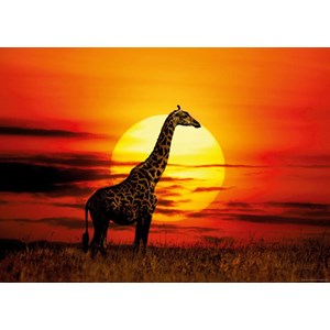 Heye (29688) - "Sonnenuntergang in der Savanne" - 1000 Teile Puzzle