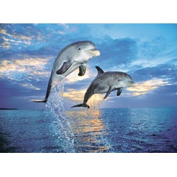Clementoni (30139) - "Dolphin" - 500 Teile Puzzle