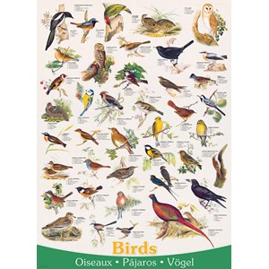 Eurographics (6000-1259) - "Vögel" - 1000 Teile Puzzle