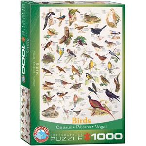 Eurographics (6000-1259) - "Vögel" - 1000 Teile Puzzle