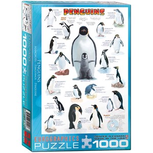 Eurographics (6000-0044) - "Pinguine" - 1000 Teile Puzzle