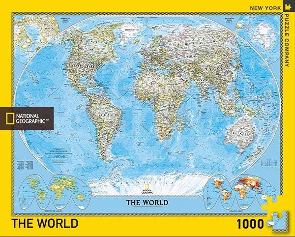 New York Puzzle Co (NPZNG1601) - "Die Welt als Karte" - 1000 Teile Puzzle