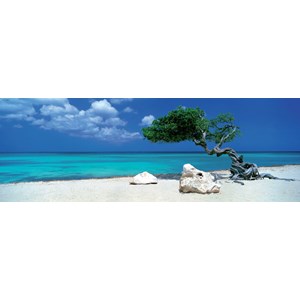 Heye (29399) - Alexander von Humboldt: "Divi Divi Tree" - 1000 Teile Puzzle