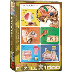 Eurographics (6000-0305) - "Die fünf Sinne" - 1000 Teile Puzzle