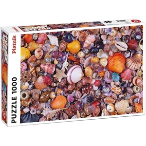 Piatnik (566349) - "Muscheln" - 1000 Teile Puzzle