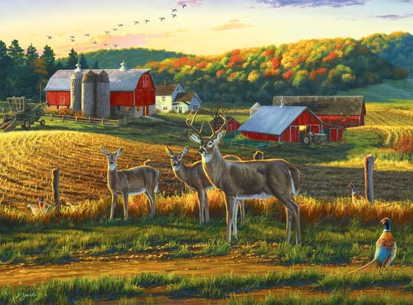 Buffalo Games (11238) - Darrell Bush: "Harvest Time" - 1000 Teile Puzzle