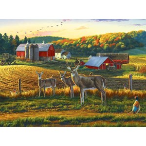 Buffalo Games (11238) - Darrell Bush: "Harvest Time" - 1000 Teile Puzzle